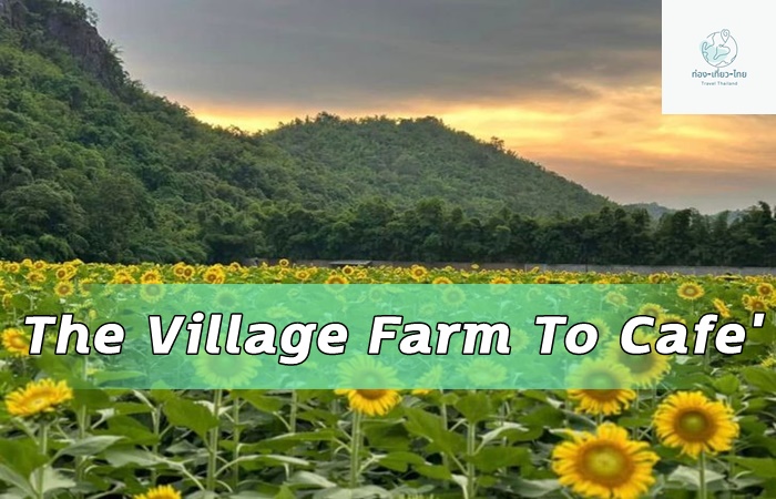 The Village Farm To Cafe'